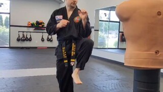 tutorial