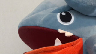 Bought a round land shark hand puppet