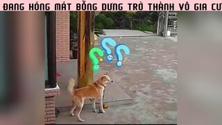 Hình ảnh quen thuộc cuối tháng :( #haihuoc