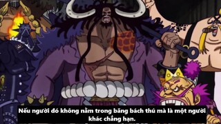 Mục Đích Của Aokiji Khi Đến Wano Yamato Sẽ Vào Băng Mũ Rơm p5