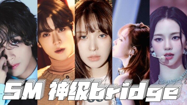 SM, sepertinya kamu sangat jago nulis bridge, ya?? | Jajal lengkap tak sempurna: bridge-brige epik d