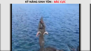 Thử thách sinh tồn _ ở Bắc Cực 100 p11