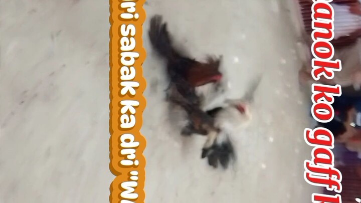 June 13, 2025 ulutan @ toboso cockpit