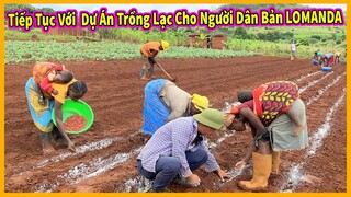 Bản Lomanda Tập 5 || Tiếp Tục Triển Khai Dự Án Trồng Lạc Giúp Người Dân Bản Địa