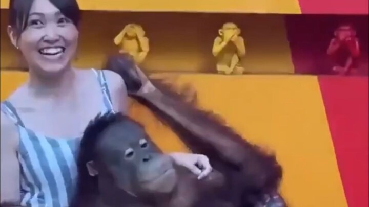 The episode I envy the monkeys the most