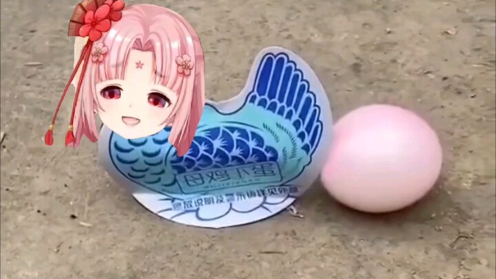 Fan Bao lays eggs