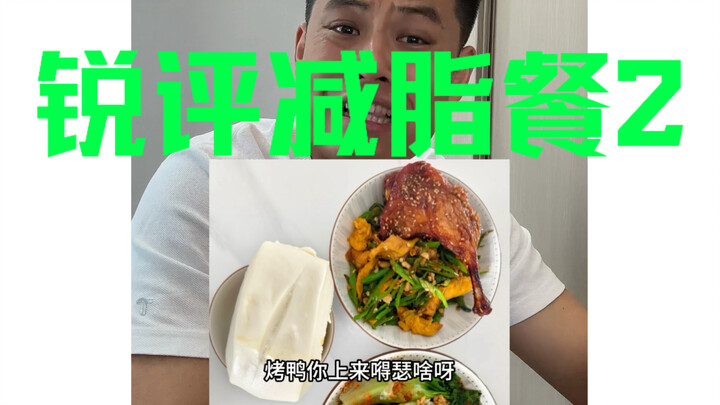 Sharp Commentary on Diet Meals 2