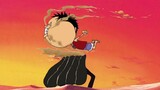 The weird things Luffy has eaten! He really dares to eat everything!