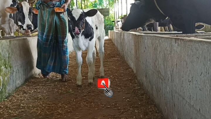 আপনার বাচ্চা অসুস্থ কিভাবে বুঝবেন