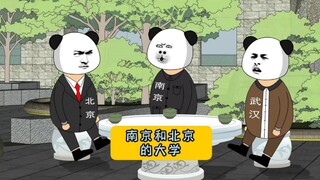 南京和北京的大学简直一模一样！#江苏 #沙雕动画 #江苏十三太保