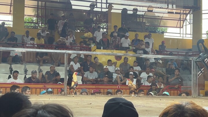 August 12 2026, LDB Candelaria Quezon, 2nd fight combine, win 🏆