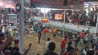 3 Cock Derby @ San Roque Marikina Cockpit