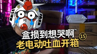 这次盒损到我想哭！老电动吐血开箱第十五期！【电动爷们】