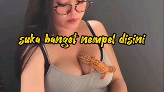 suka banget nempel disini #realperson