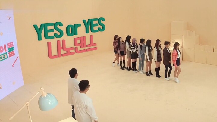 TWICE: Surprise Appearance on Korean Variety Show! New Song Debuts on TV, Dance Performance Stunning