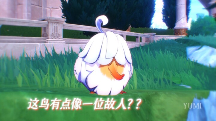 miHoYo, can you explain what the last bird means?