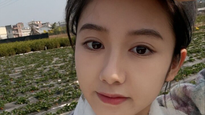 ทำไมน้องติงถึงถูกเจ้าของสวนสตรอว์เบอร์รีบล็อก