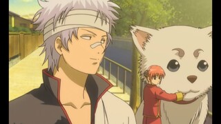 Gintoki yêu Kagura nhất và sẽ đáp ứng mọi mong muốn của Kagura dù có chuyện gì xảy ra.