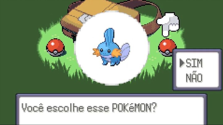 Temos que pegar todos, inicio da jornada para completar a pokedex de Hoenn
