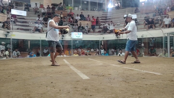 RVGF GREY 3RD WIN @ TEXAS COCKPIT ARENA