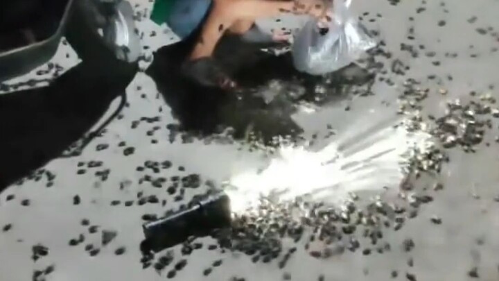 Southern wind beetles stir-fried to a crisp are incredibly fragrant—rumor has it only the really tou