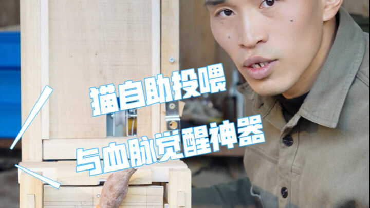 What Happens When a Mech Engineering Major Meets Rural Cat-Keeping?