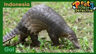 Misi : Menyelamatkan Ibu Gol - Peet The Forest Detective 3 (Bahasa Indonesia)