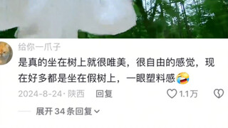 好清爽的颜值和画面啊 顿时感觉像夏天喝了冰可乐一样。