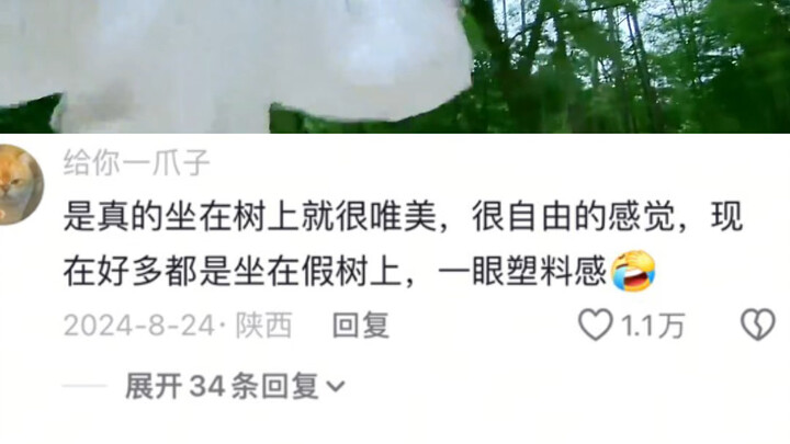 好清爽的颜值和画面啊 顿时感觉像夏天喝了冰可乐一样。