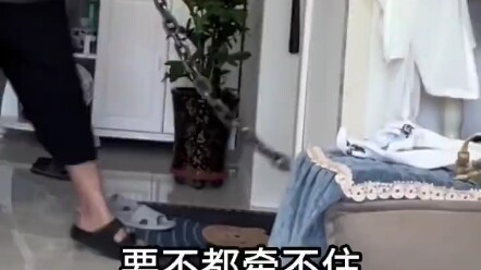 หมาตัวนี้พันธุ์อะไร?