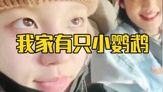 宋雨琦教米妮中文真的像在教小鹦鹉说话