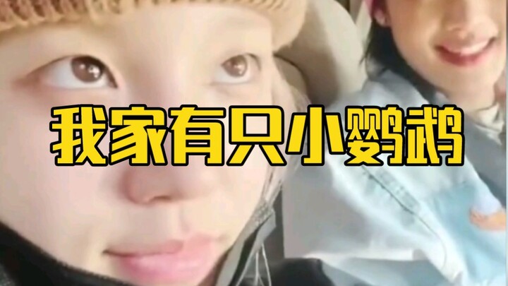 ซ่งอวี่ฉีสอนมินนี่พูดจีน จริงๆ แล้วเหมือนกำลังสอนนกแก้วน้อยพูดเลย