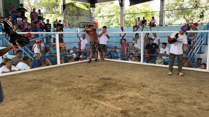 Thursday hack fight, 1st fight BrassBack Cobra, Talo , bawi next life