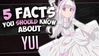 5 Facts About Yui - BOFURI: I Don’t Want to Get Hurt, so I’ll Max Out My Defense