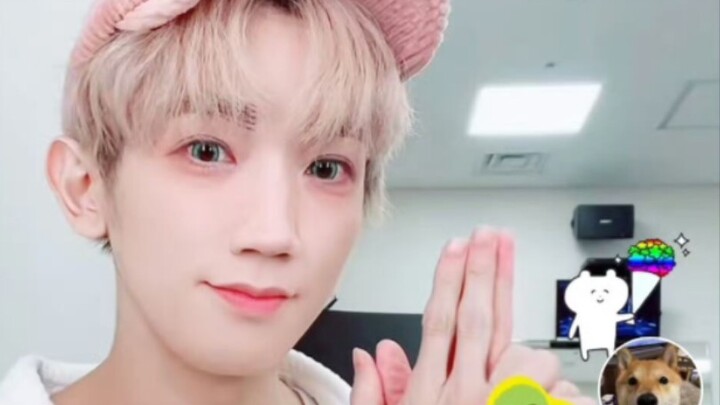 [Daisuke Hirose] Hand Dance ✧* The sign is B! B Komachi (tiktok)