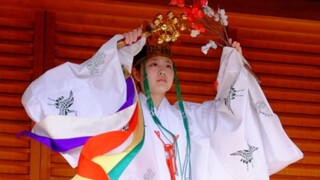 [Vũ điệu nữ thần Miko] Đền Kyoto Jonangu "Kagura cành mận"