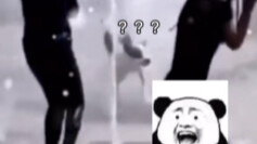 Doggy: I’m seriously jealous!