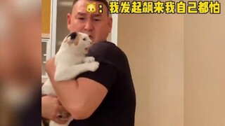 Kucing: Si pembersih kotoran, jangan takut! Aku yang akan melindungimu!