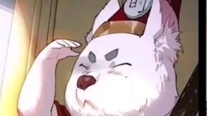 Perhaps this is the best ending for Yuehong's love #Fox Demon Little Matchmaker