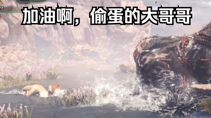 ซากิโอริ: ถ้าแม้แต่ราชาแห่งนกมังกรยังล้มลง ก็ไม่มีใครหยุดเจ้าได้อีกแล้ว!