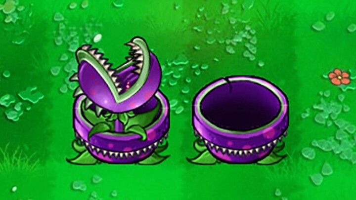 Thực vật mới: Chậu hoa miệng lớn