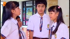 12 Monyet Cantik