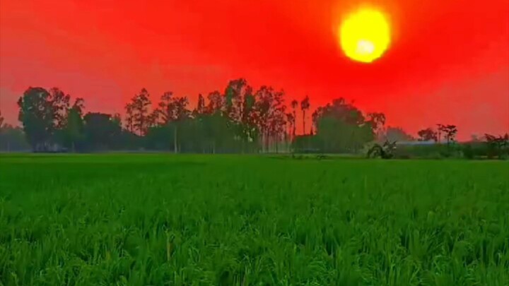 মাটির বিছানা
