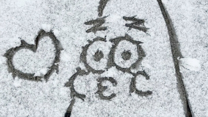 I am painting in the snow today. Is it snowing where you are?