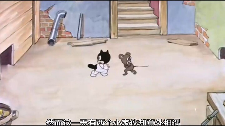 小猫训练捉老鼠，小老鼠训练躲猫，猫和老鼠能成为邻居吗？