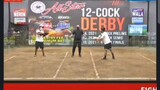 all star 12 cock derby
