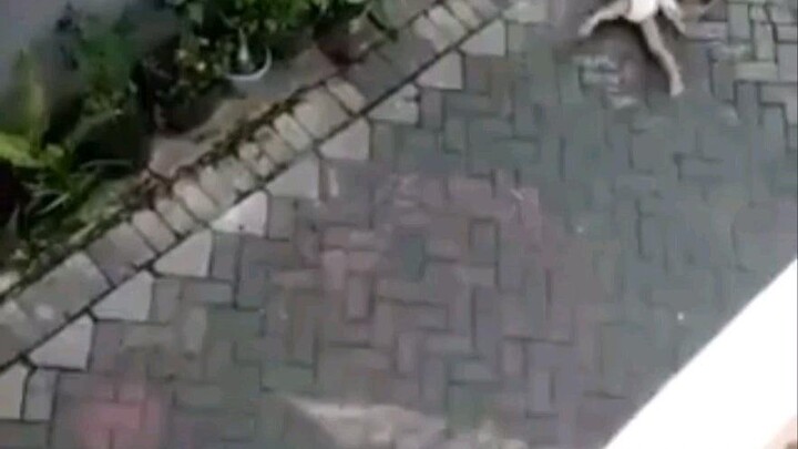 อาจจะบางทีอาจจะบางที