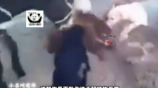 你来凑什么热闹