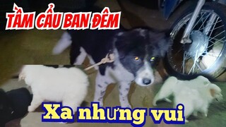 Chuyến lên bản mông bắt cún| hành trình xuyên đêm.