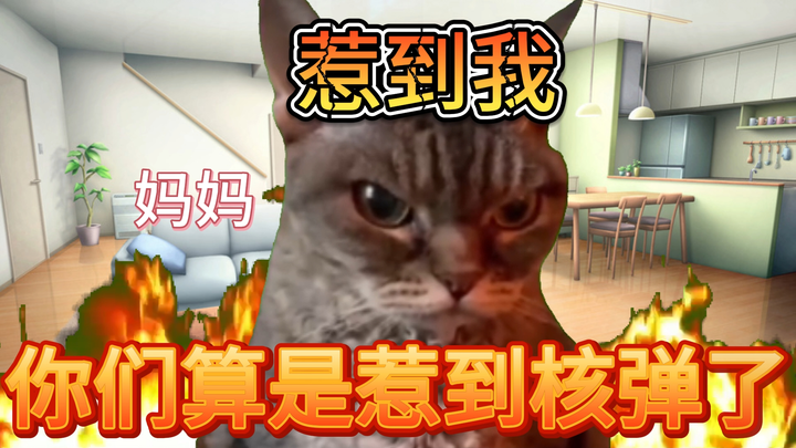 【猫meme】面对霸凌者，妈妈就像超人一样（上）